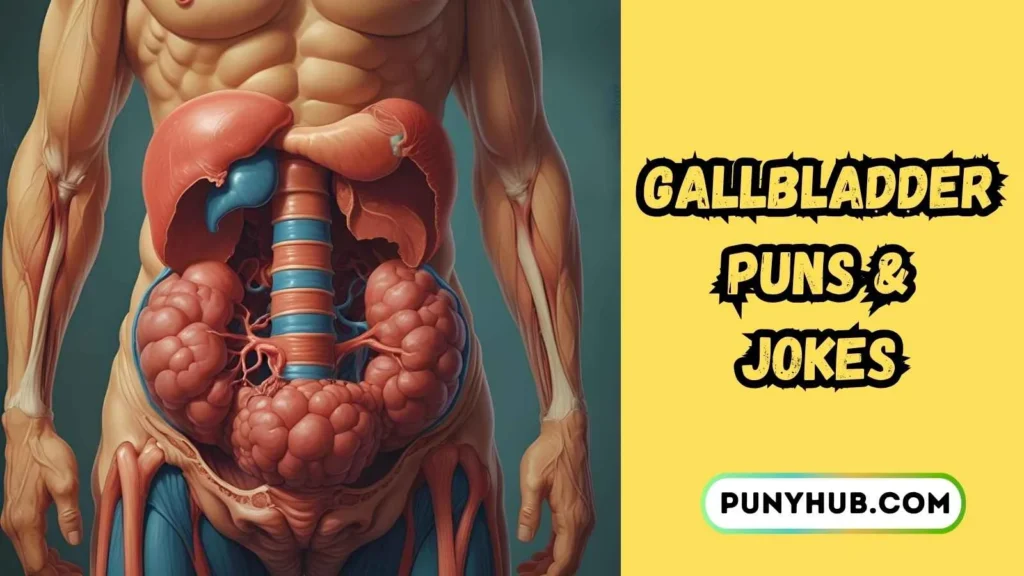 Anatomy Class Gallbladder Puns