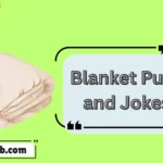 Blanket Puns and Jokes