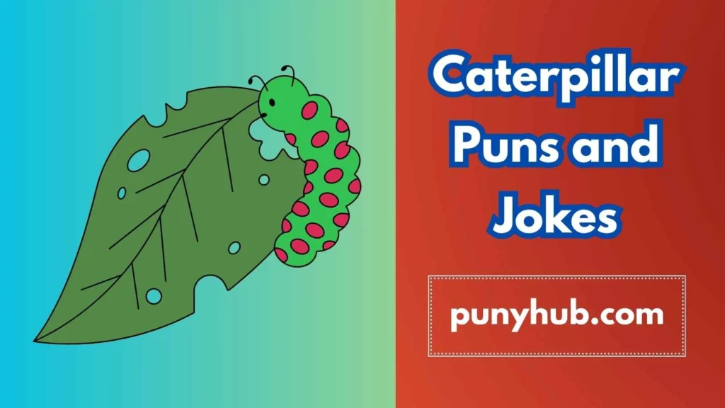 Caterpillar Puns and Jokes