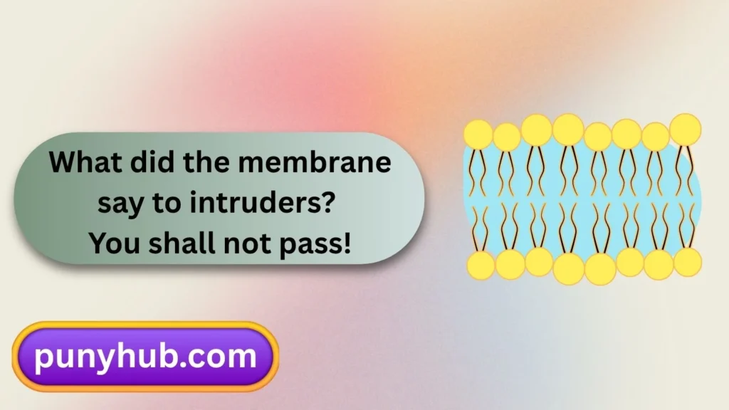 Cell Membrane Puns