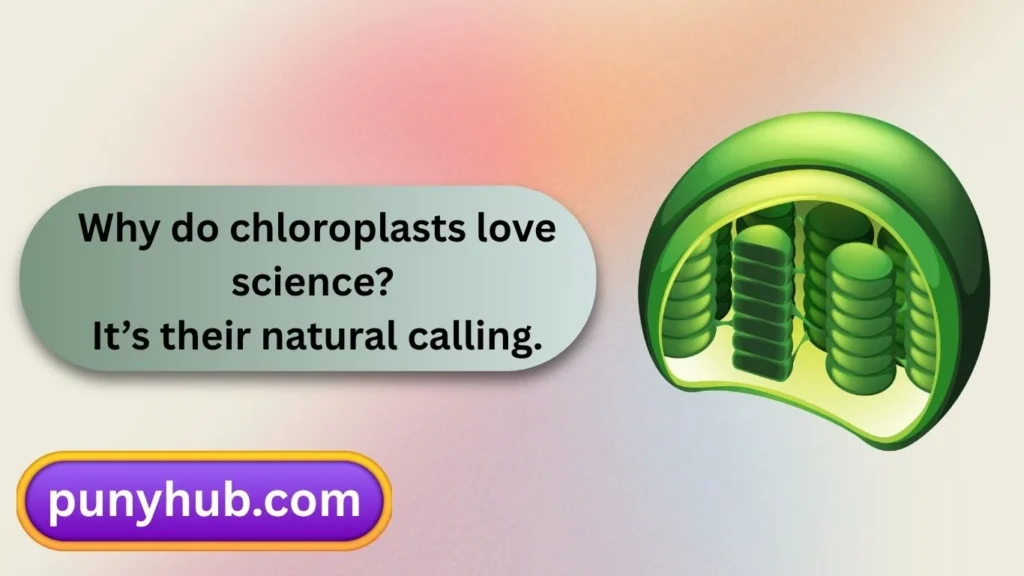 Chloroplast Chuckles
