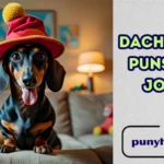 Dachshund Puns and Jokes