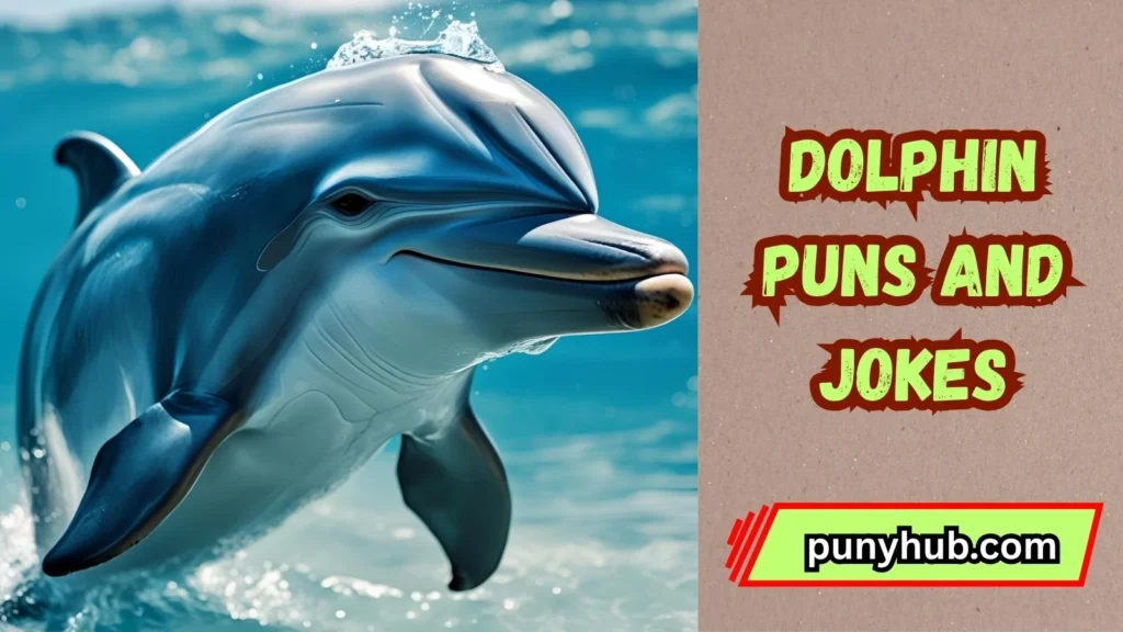Dolphin Dad Jokes