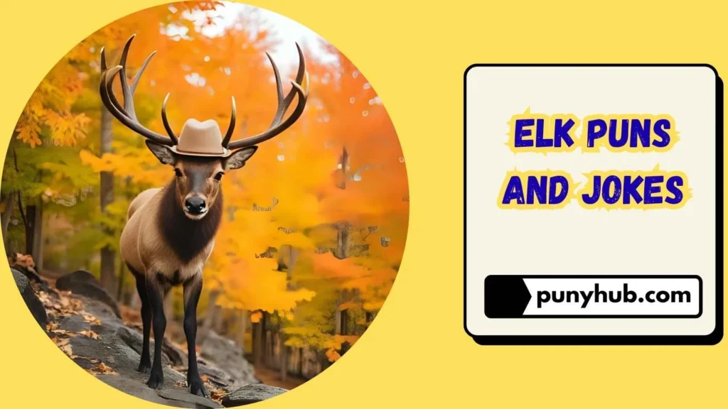 Elk Puns and Jokes