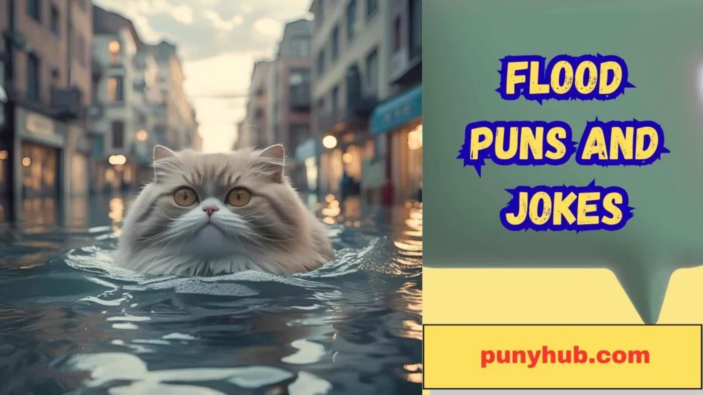 Flood Jokes for Kids