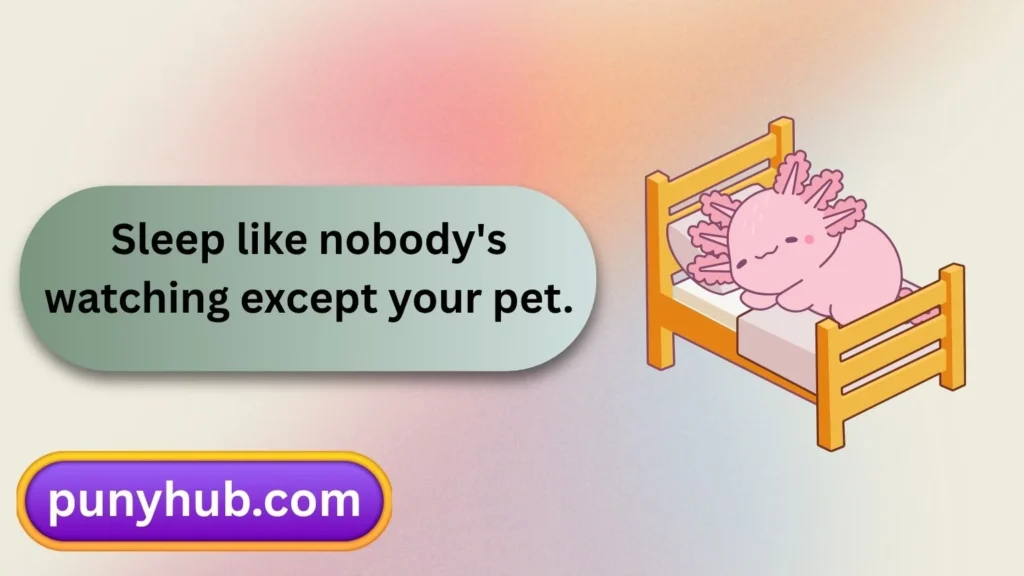 Funny Bed Puns