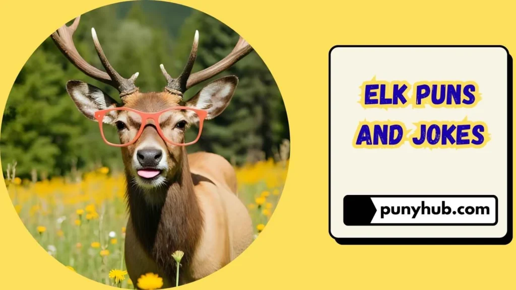 Funny Elk Puns for Instagram