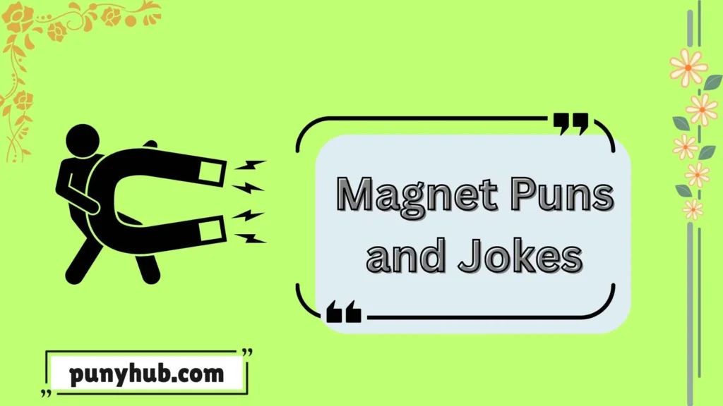 Funny Magnet Puns and jokes