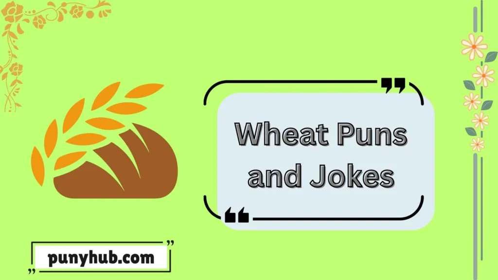 Graduation Wheat Puns