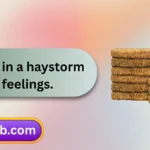 Hay Puns and Jokes
