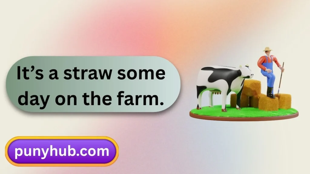 Hay Puns for Farm