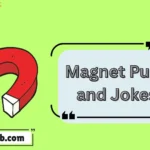 Magnet Puns and Jokes