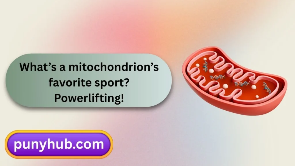 Mitochondria Puns