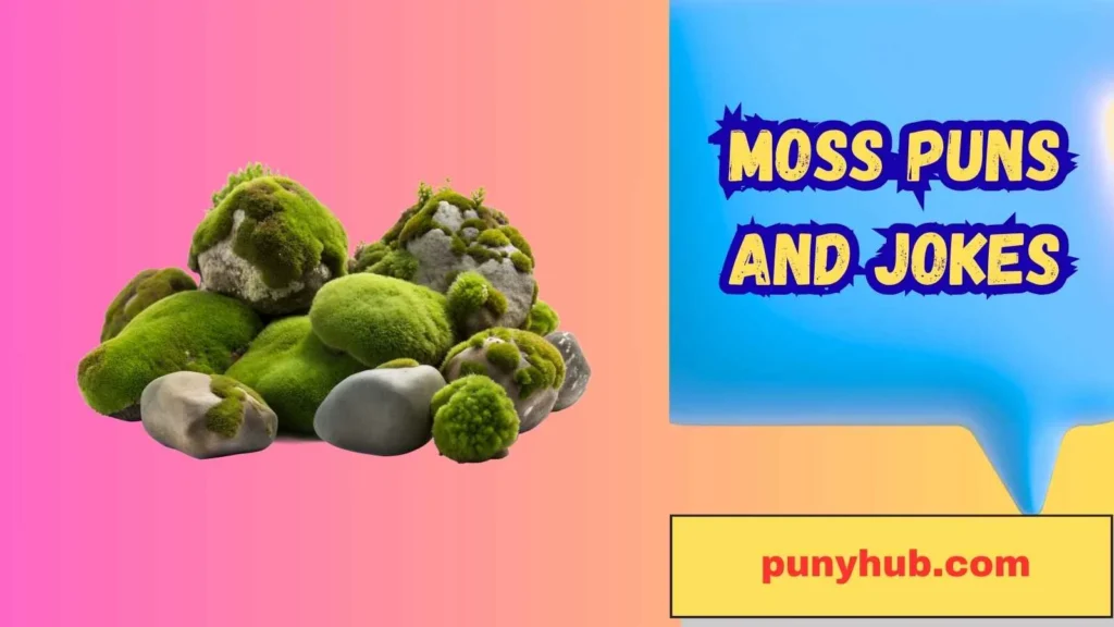 Moss Puns for Kids