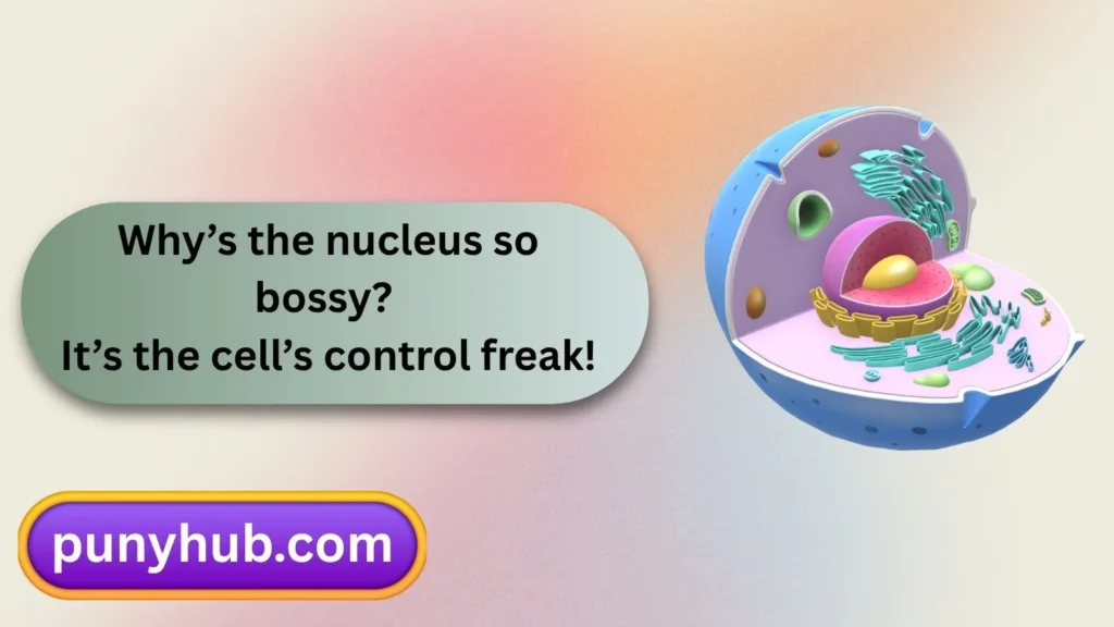 Nucleus Puns