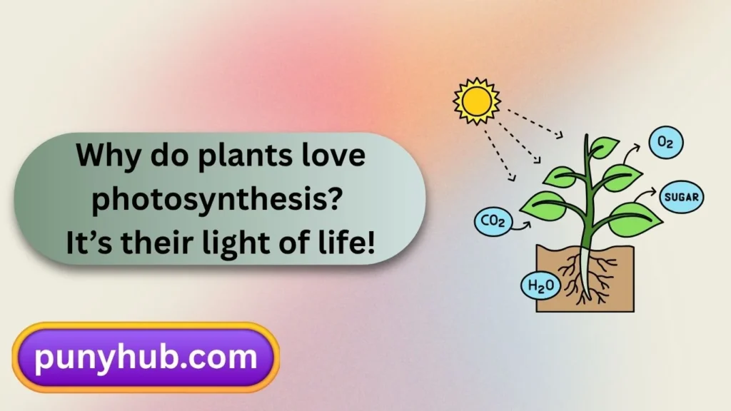 Photosynthesis Puns and Jokes