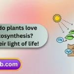 Photosynthesis Puns and Jokes