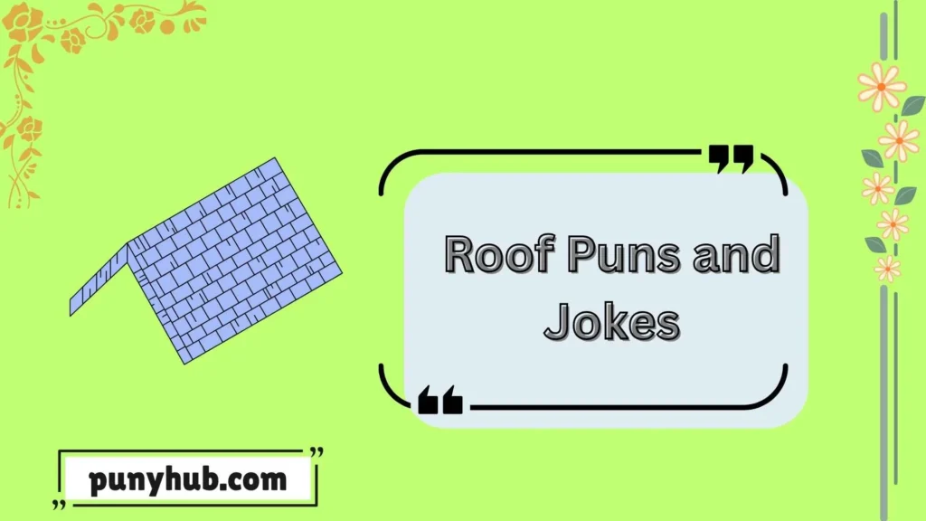 Roof Selfie Captions and Puns
