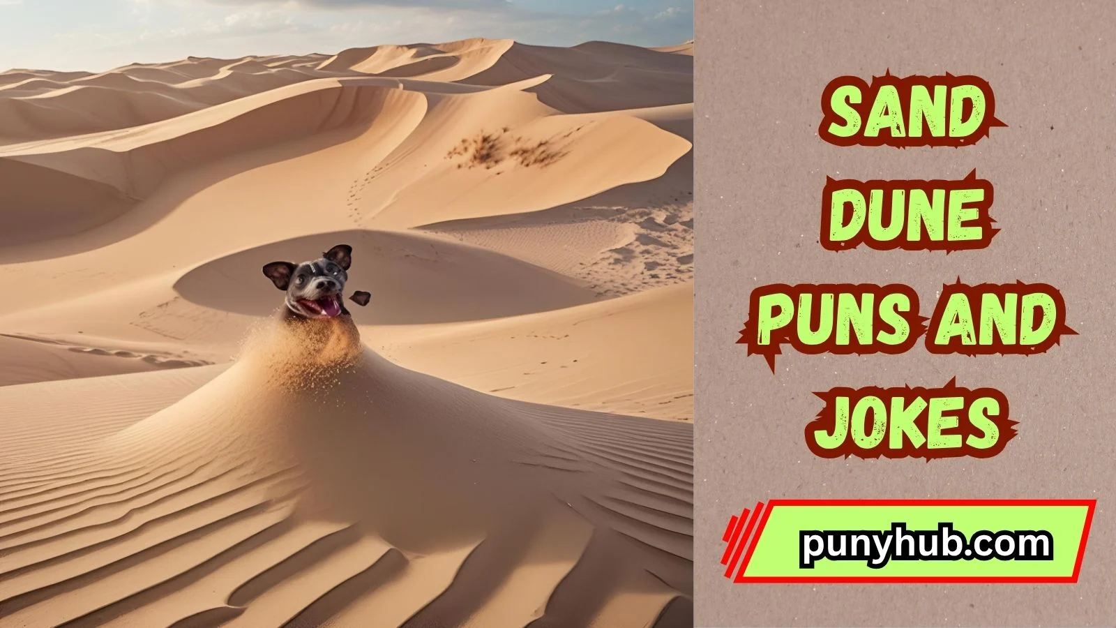 Sand Dune Puns and Jokes