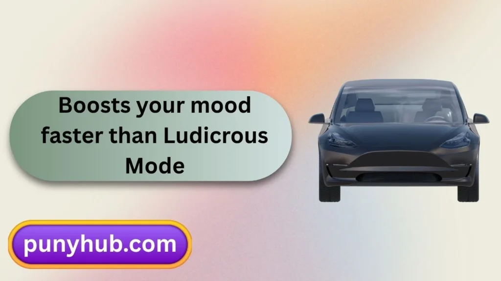 Tesla Puns and Jokes