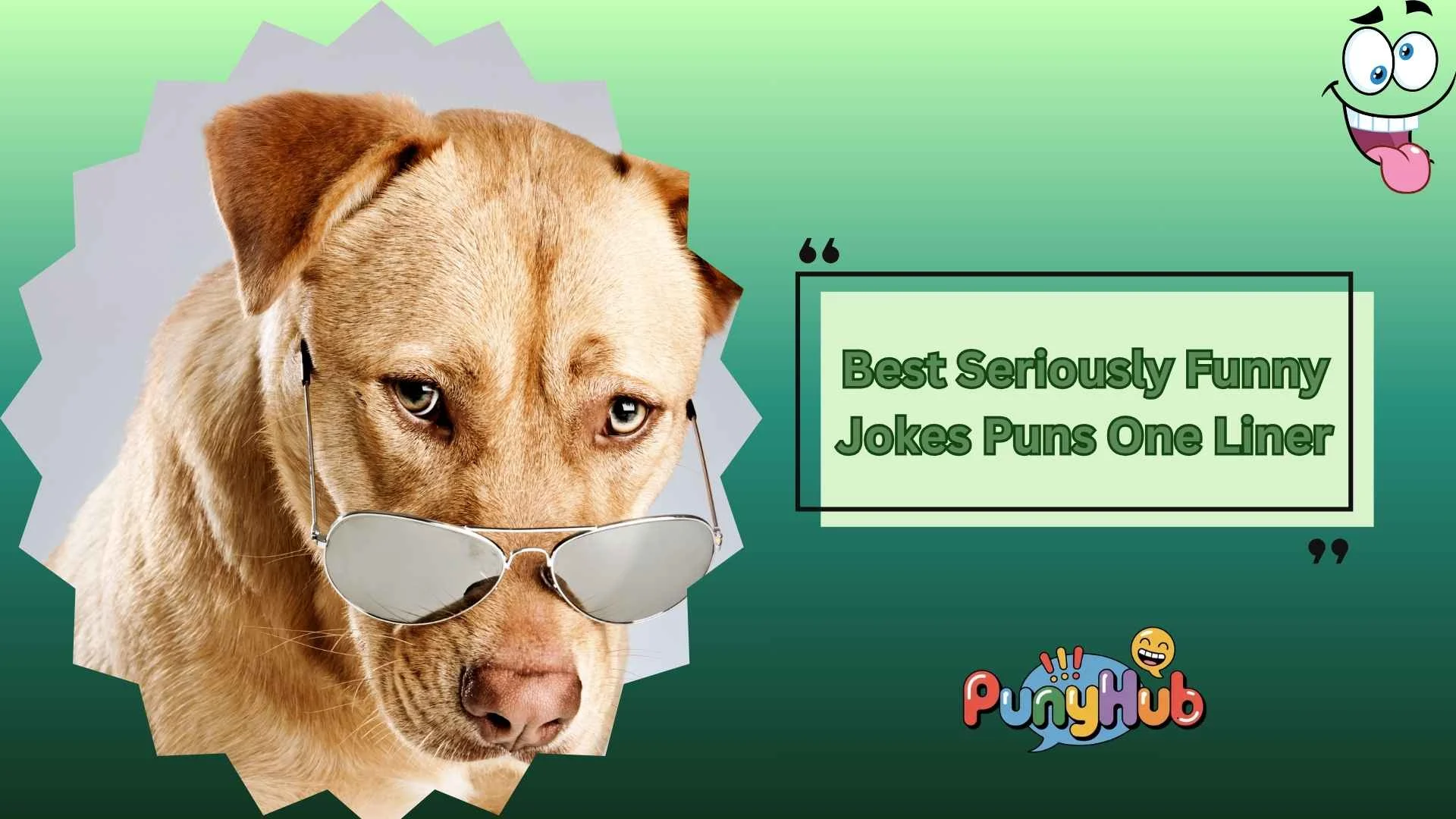 Best Seriously Funny Jokes Puns One Liner