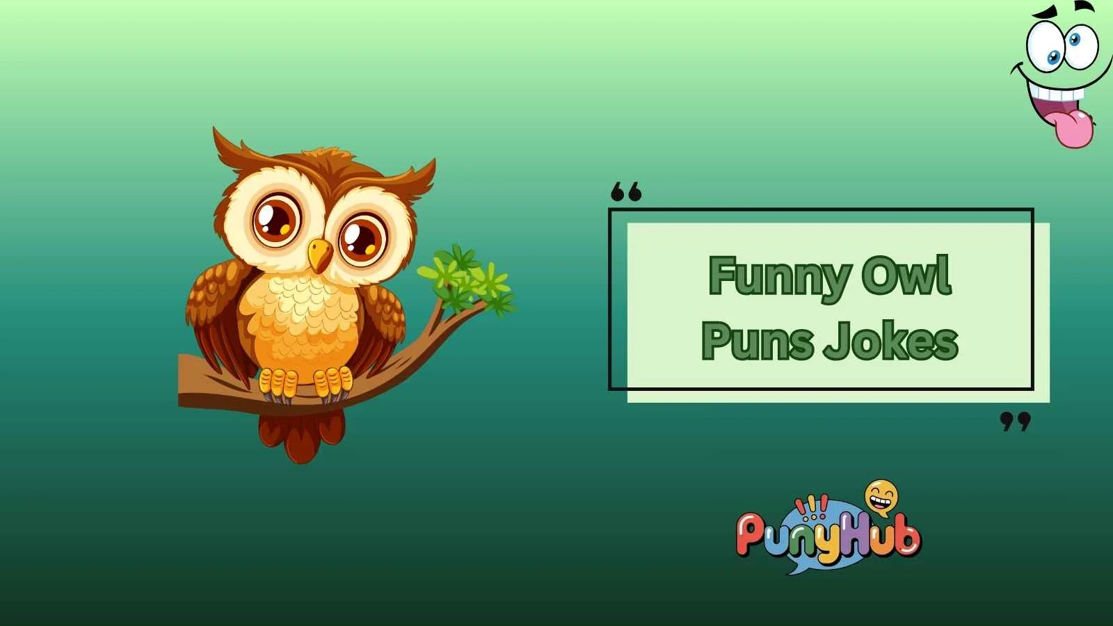 Funny Owl Puns Jokes
