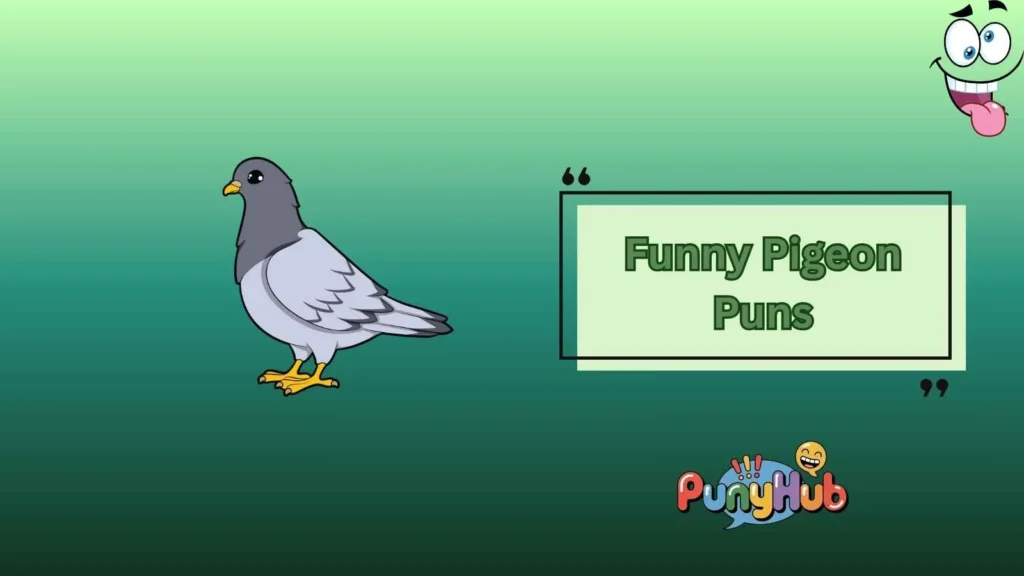 Funny Pigeon Puns