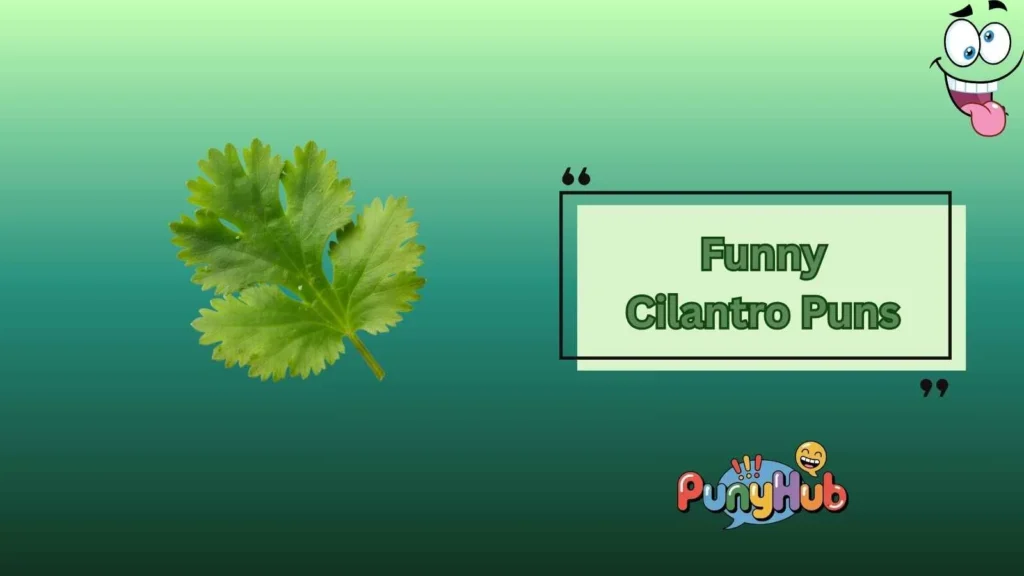 Funny Cilantro Puns