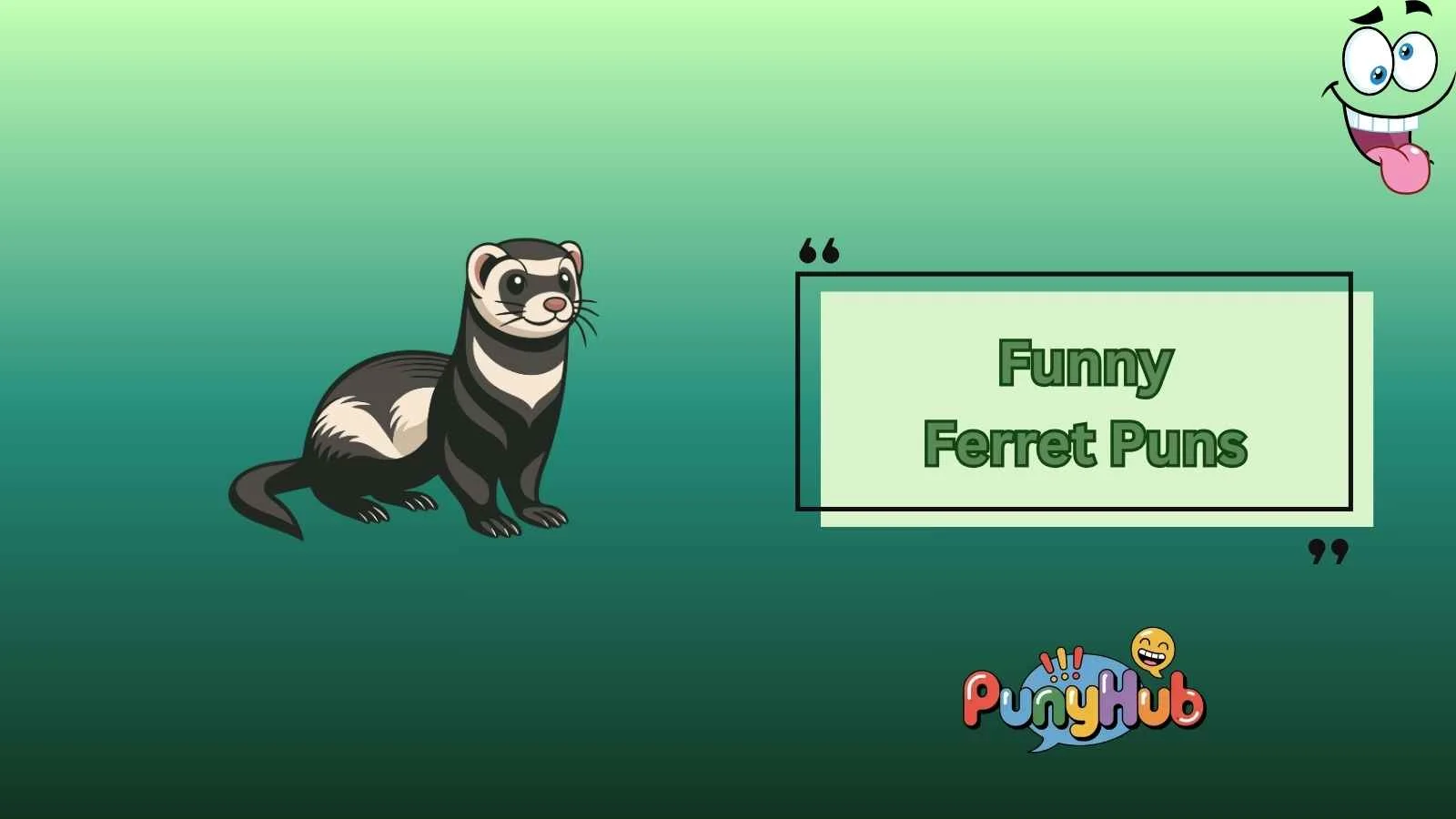 Funny Ferret Puns