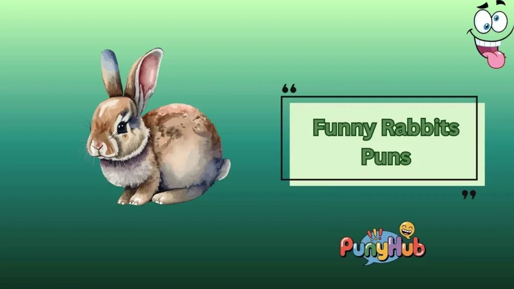 Funny Rabbits Puns