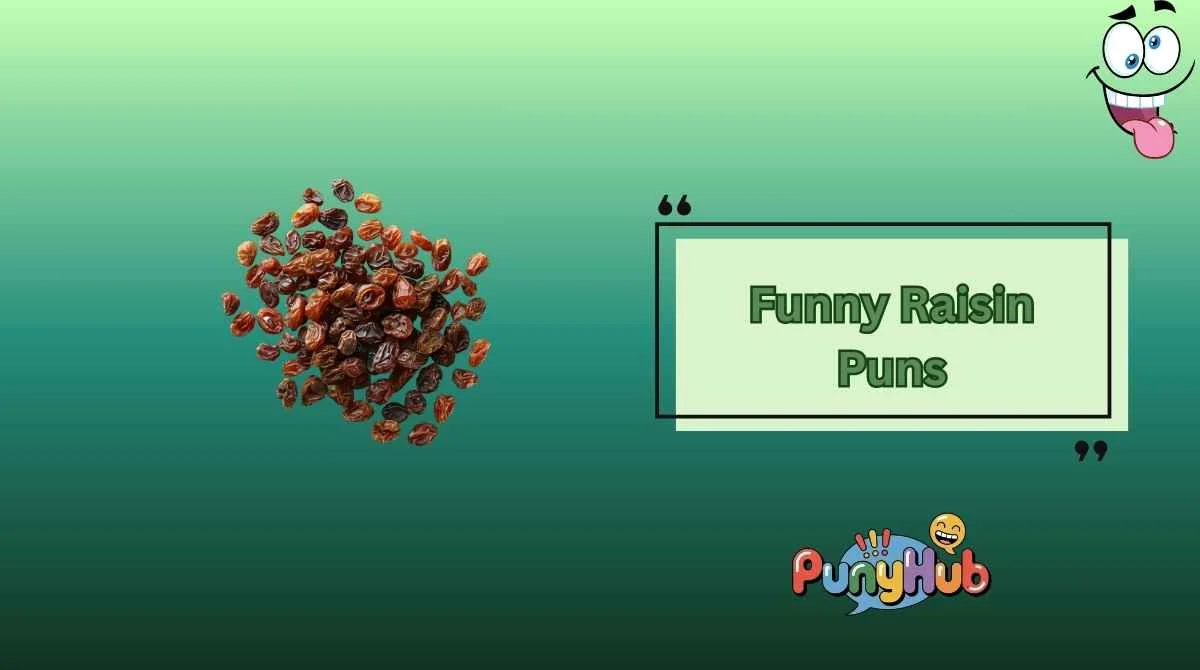 Funny Raisin Puns