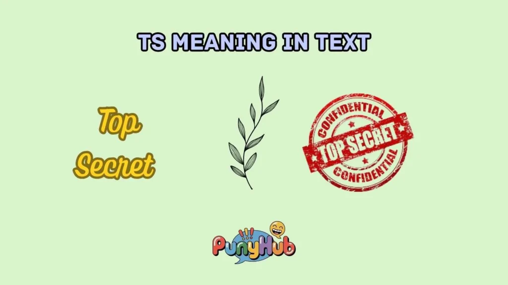 ts meaning in text