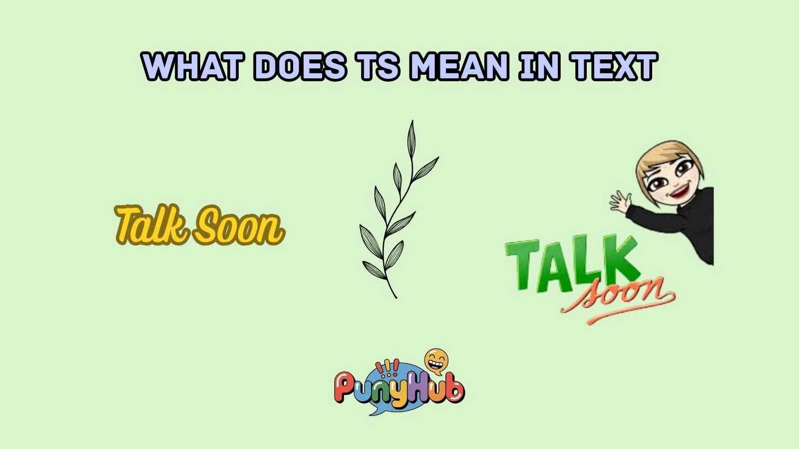 what does ts mean in text