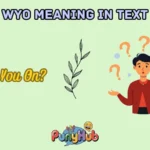 wyo meaning in text