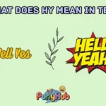 what does hy mean in text
