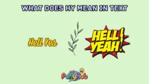 what does hy mean in text